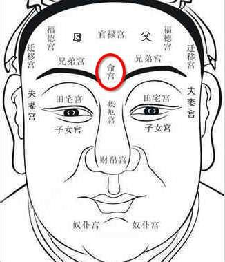 富贵面相|面相：9种极品富贵命的面骨(图)